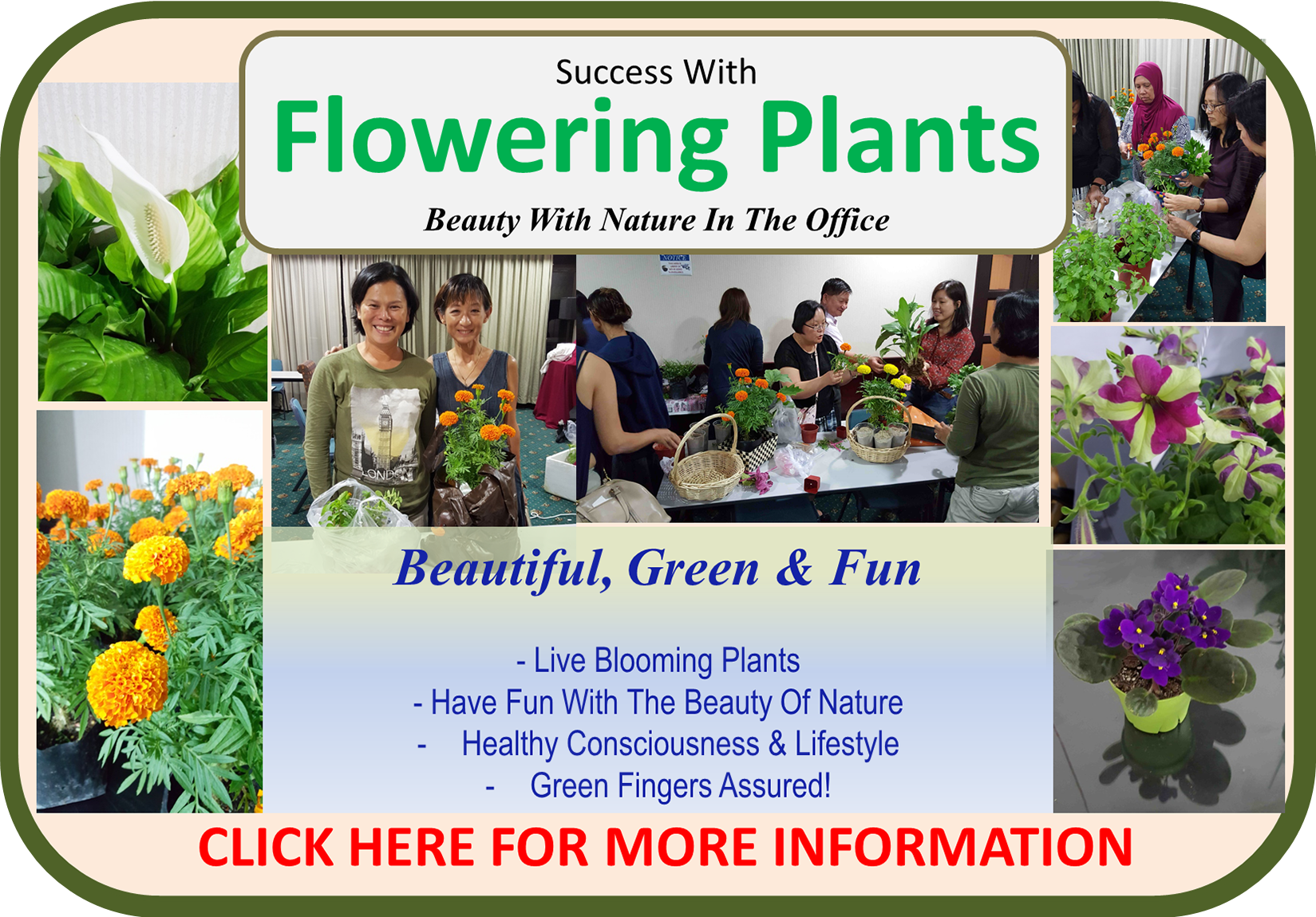 Success With Flowering Plants