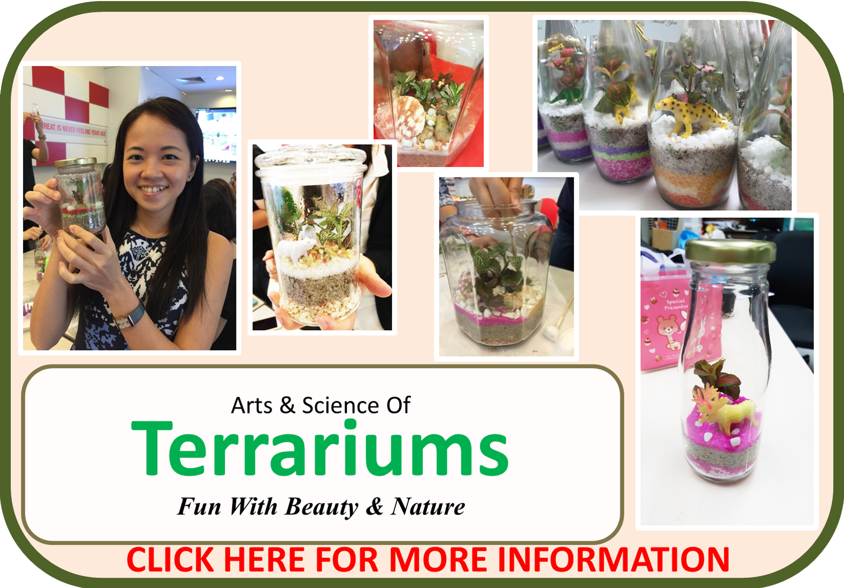 Terrariums