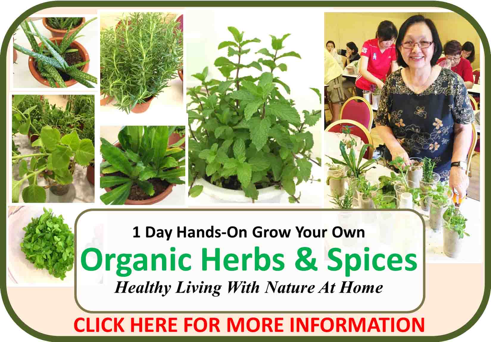 1 Day Organic Herbs & Spices