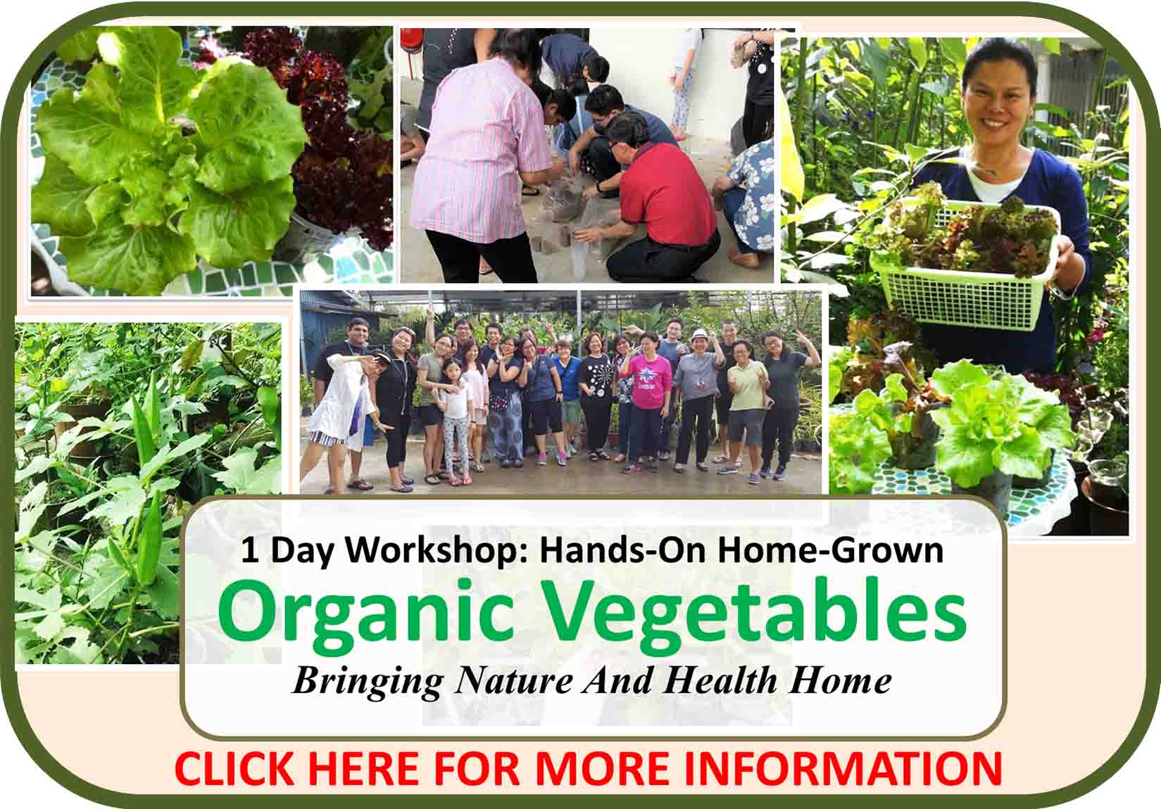 1 Day Hands-On Home-Grown Organic Vegetables