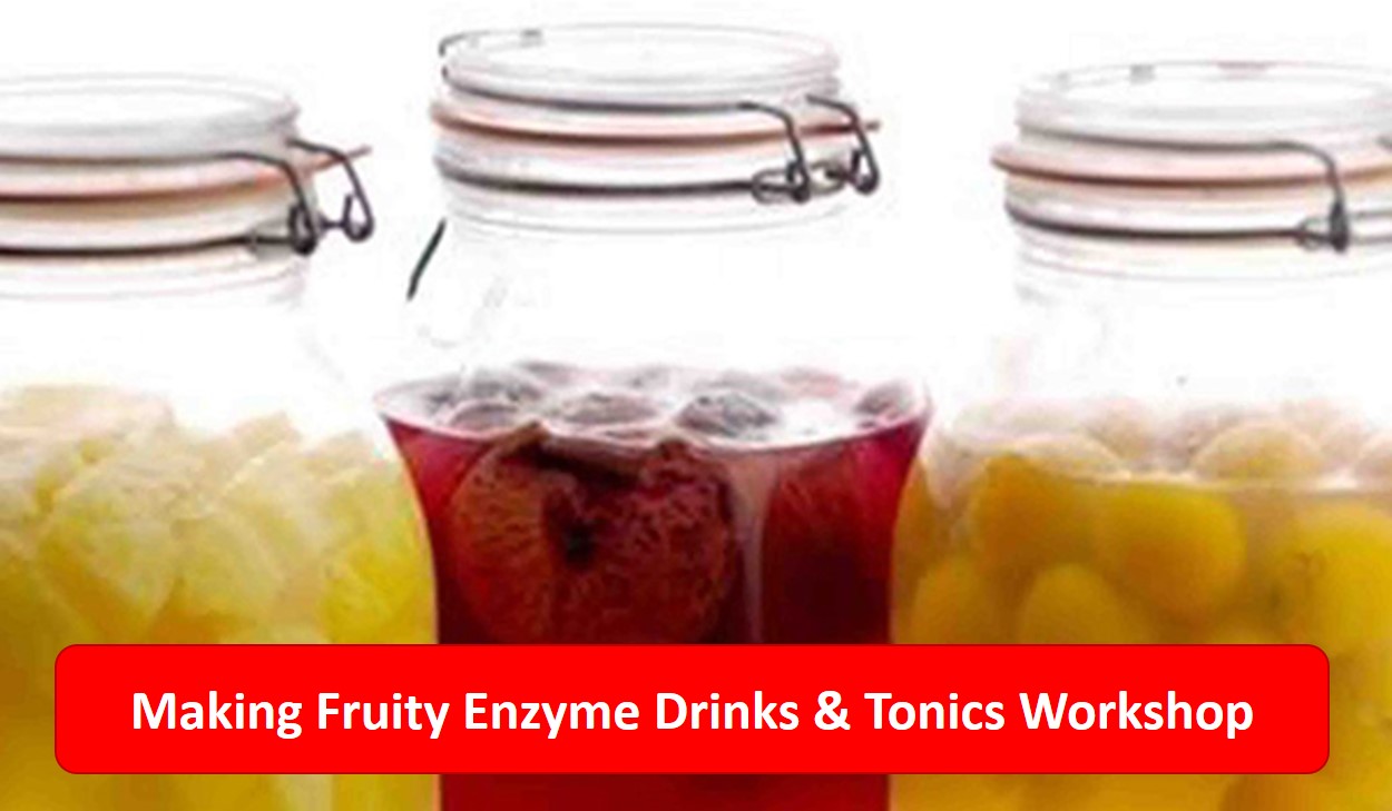 Making Fruity Enzyme Drinks & Tonics Gardens With Purpose