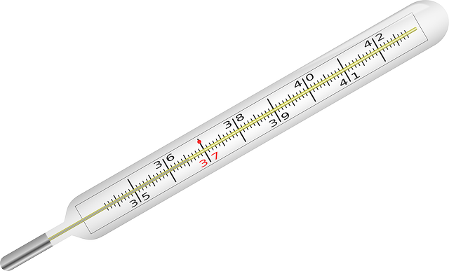 clinical thermometer