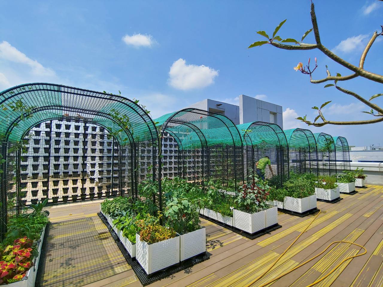 CityNeon Commercial Roof Garden