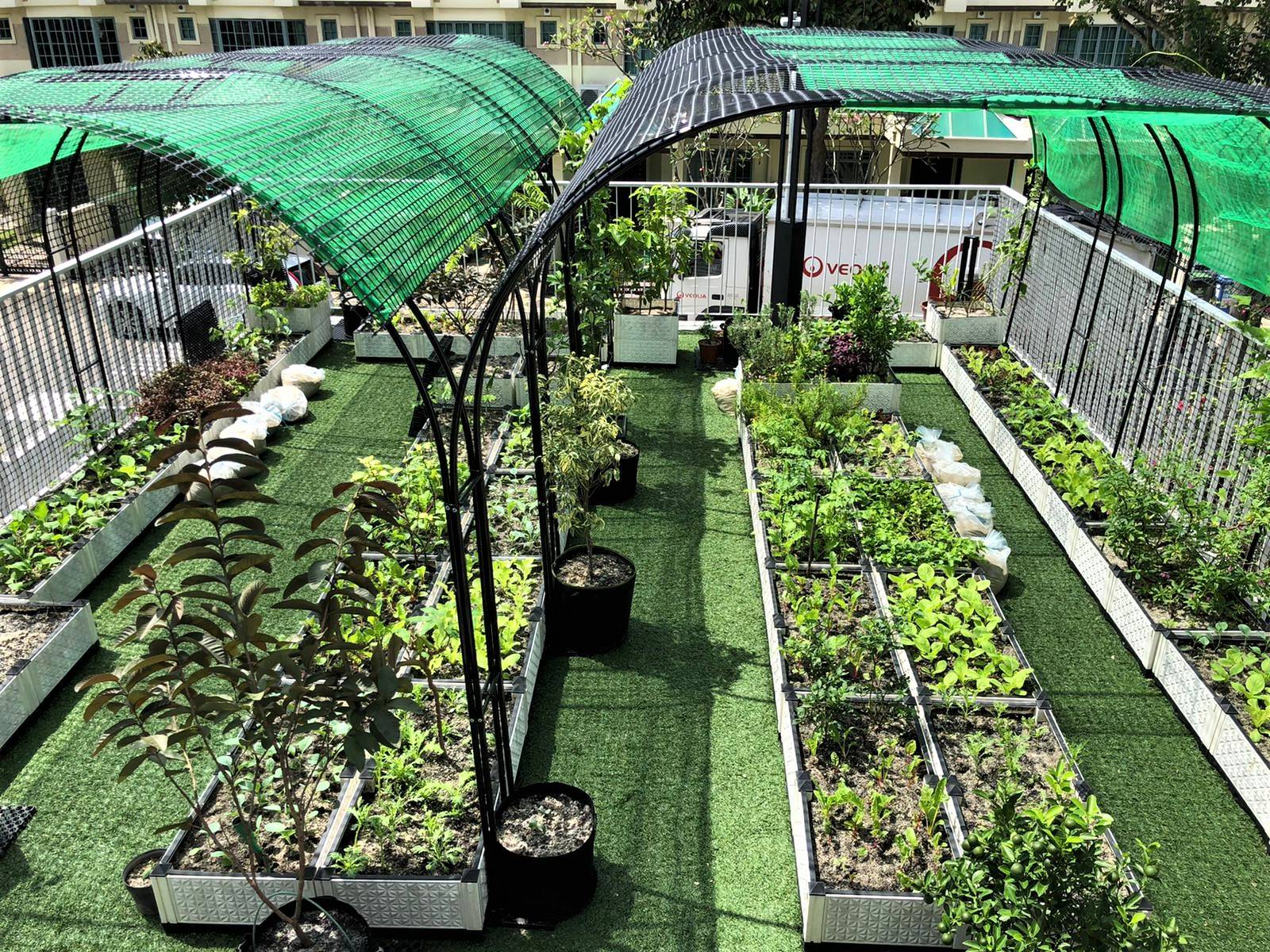 Residential Roof Garden